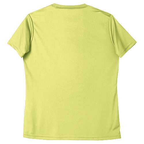 Custom Printed ATC L350 Ladies Pro Team Short Sleeve Tee - 7 - Back View | ThatShirt