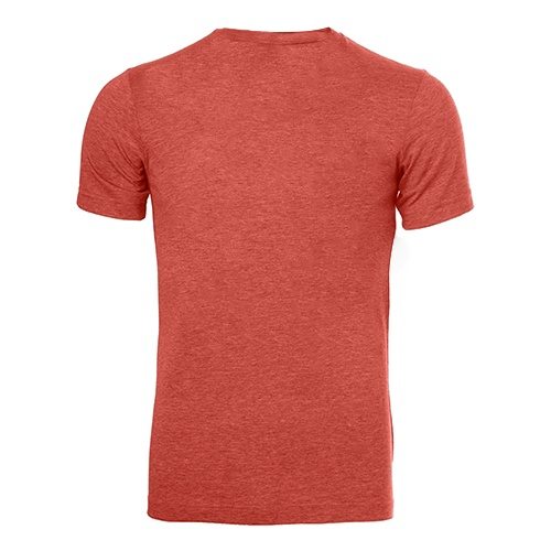Custom Printed Bella + Canvas 3413 Tri-Blend T-shirt - 5 - Back View | ThatShirt