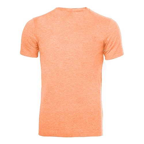 Custom Printed Bella + Canvas 3413 Tri-Blend T-shirt - 12 - Back View | ThatShirt