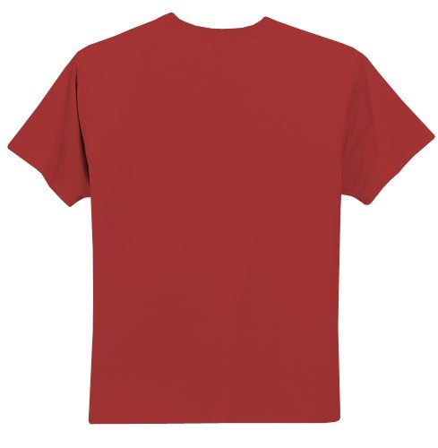 Custom Printed Gildan 2000 Ultra Cotton Unisex T-Shirt - 11 - Back View | ThatShirt