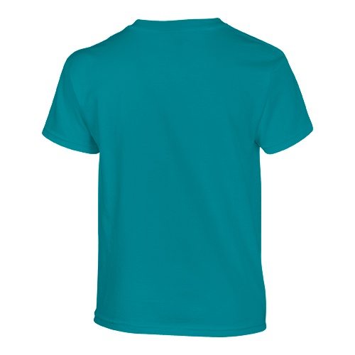 Custom Printed Gildan 500B Heavy Cotton Youth T-Shirt - 44 - Back View | ThatShirt