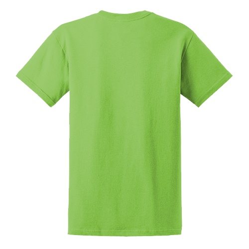 Custom Printed Gildan 6400 / 64000 SoftStyle Ring Spun T-Shirt - 15 - Back View | ThatShirt