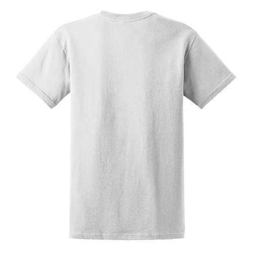 Custom Printed Gildan 6400 / 64000 SoftStyle Ring Spun T-Shirt - 24 - Back View | ThatShirt
