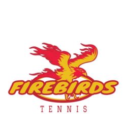 thatshirt t-shirt design ideas - Mascots - Firebirds