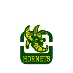 thatshirt t-shirt design ideas - Mascots - Hornets